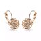 ROSE IS A ROSE 18kt Rose Crystal Earrings In White Yellow And Rose Gold Plating